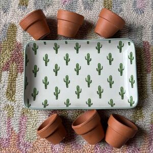 Darling little 7-pc Bloomingville cactus tray + 6 miniature terracotta pots NWT